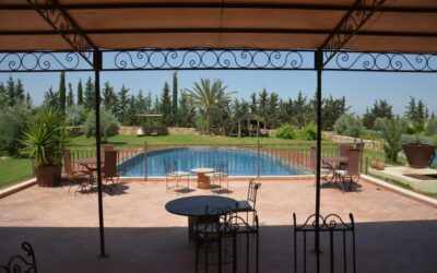 Cap sur Fès : Retour sur le voyage inoubliable des Cigognes au Golf au Riad Ksar de Fès